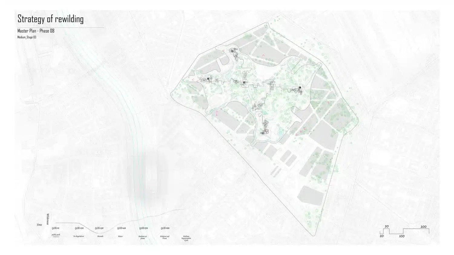 Medius Paedagogicus